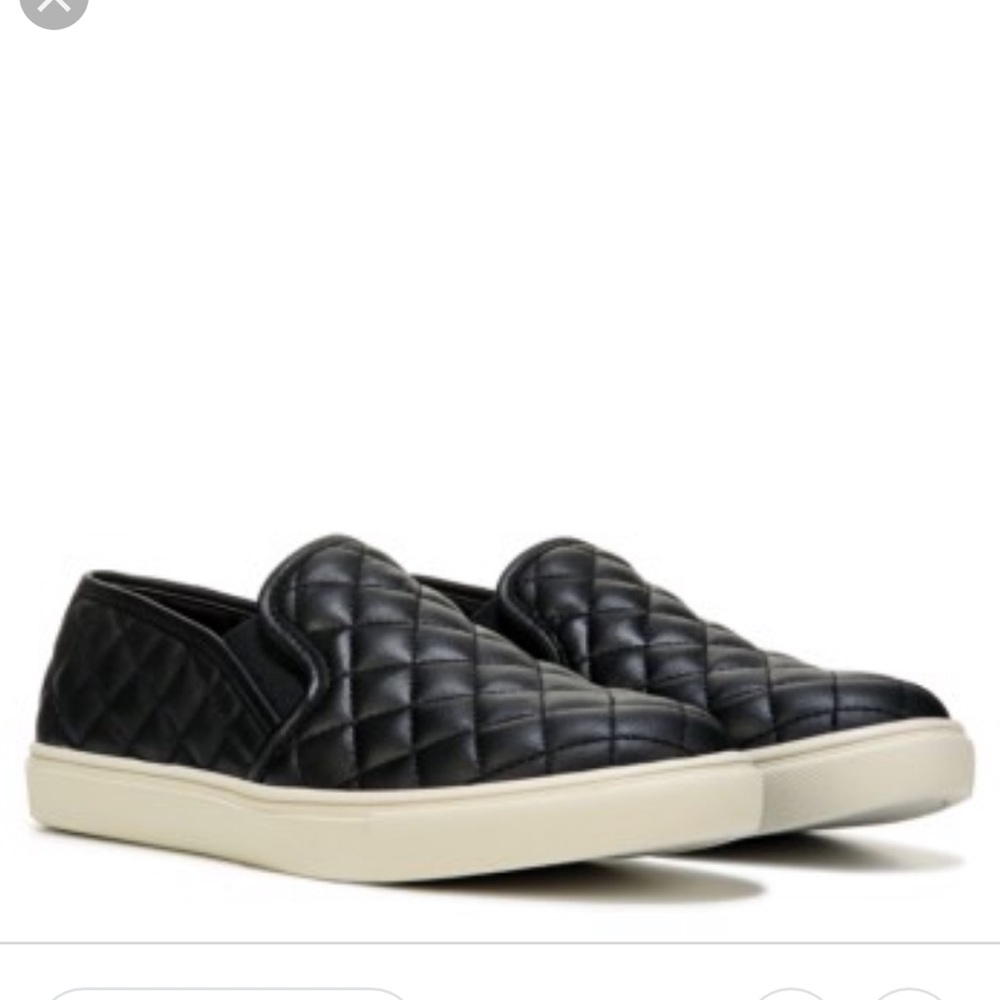 Steve Madden brand new sneakers